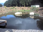 Superteich1.jpg (49kb)