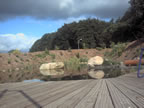 Superteich2.jpg (50kb)