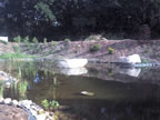 Superteich3.jpg (58kb)