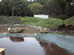 Teichbau38.jpg (48kb)