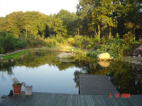 DSC02952.jpg (104kb)