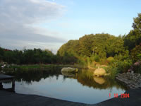 DSC02953.jpg (59kb)