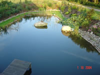 DSC02958.jpg (73kb)